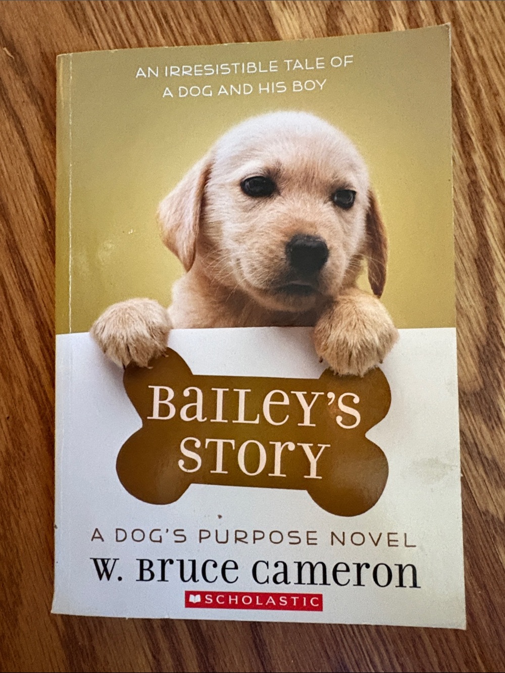 Scholastic Puppy Cover Book - Cream, Tan